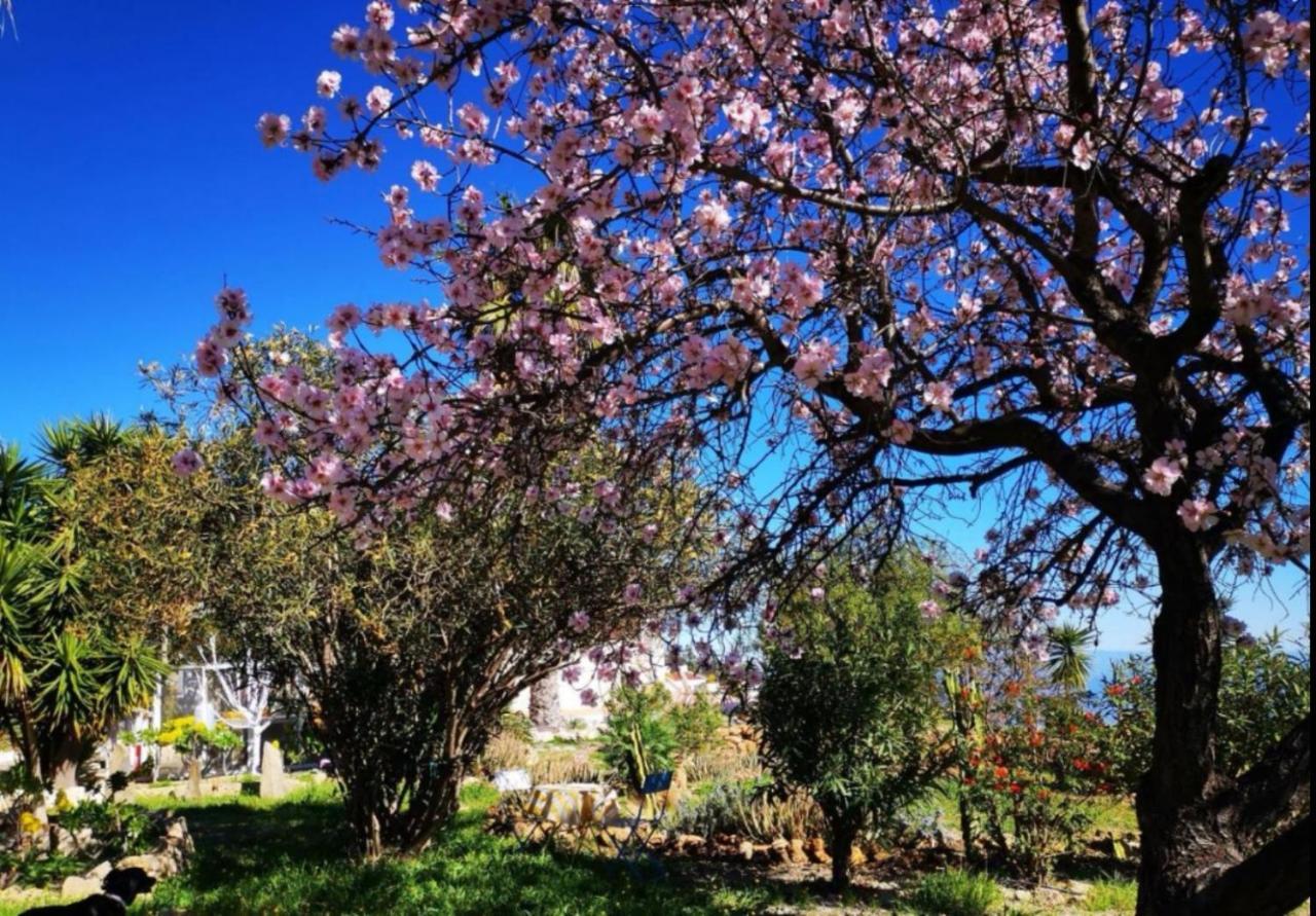 La Casita Ma Petite Folie Tenerife ซานตาครูซ เด เตเนริเฟ ภายนอก รูปภาพ